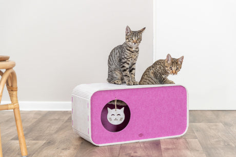 Zwei grau getigerte Katzen sitzen auf einer rechteckigen, rosa Katzenhöhle aus Filz.