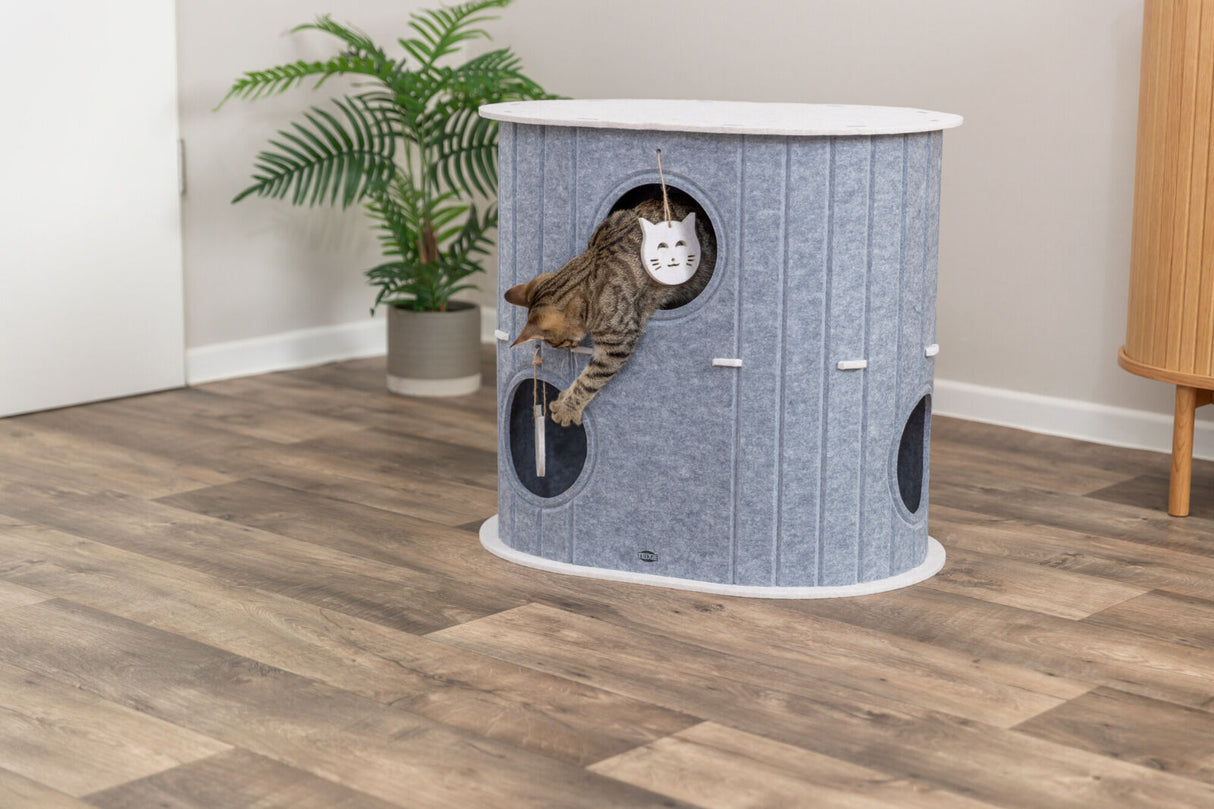 Eine getigerte Katze streckt sich aus einem grauen Spielturm in einem Raum mit Holzboden.