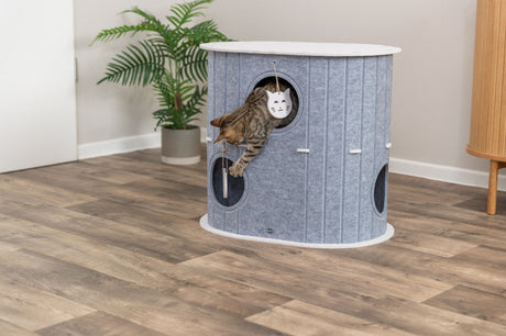 Eine getigerte Katze streckt sich aus einem grauen Spielturm in einem Raum mit Holzboden.