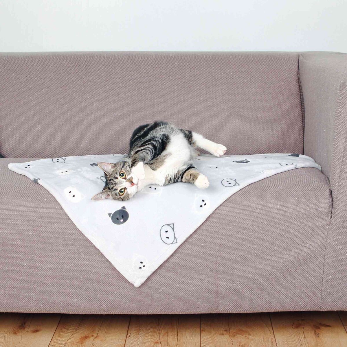 Katze liegt auf einer weißen Decke mit Katzenmotiven auf einem grauen Sofa, der Holzboden ist sichtbar.