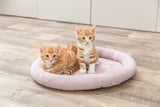 Zwei orange getigerte Kätzchen sitzen auf einem runden, flauschigen Bett auf einem Holzboden.