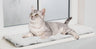 Graue getigerte Katze liegt auf einem flauschigen Polster auf einer Fensterbank und blickt nach oben.