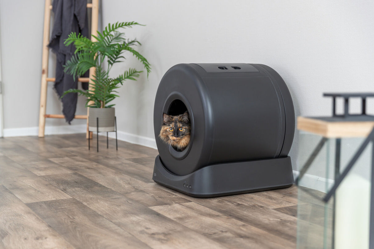 Smarte Katzentoilette Black Edition