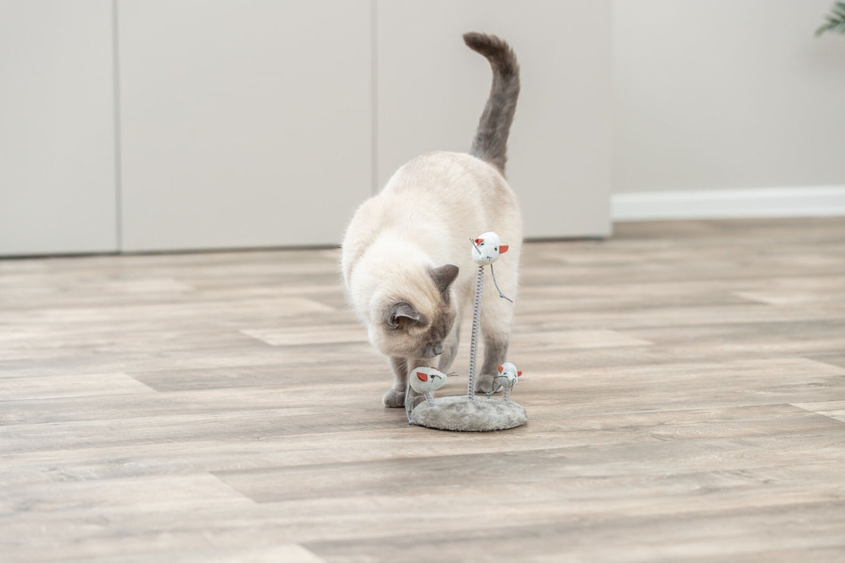 Katze spielt mit einem Katzenspielzeug, das aus grauen Plüschmäusen auf Federn besteht, in einem Raum mit Holzoptikboden.