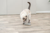 Katze spielt mit einem Katzenspielzeug, das aus grauen Plüschmäusen auf Federn besteht, in einem Raum mit Holzoptikboden.