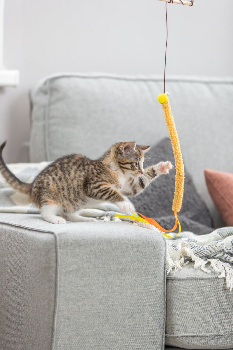 Eine getigerte Katze spielt auf einem grauen Sofa mit einem hängenden gelben Spielzeug.