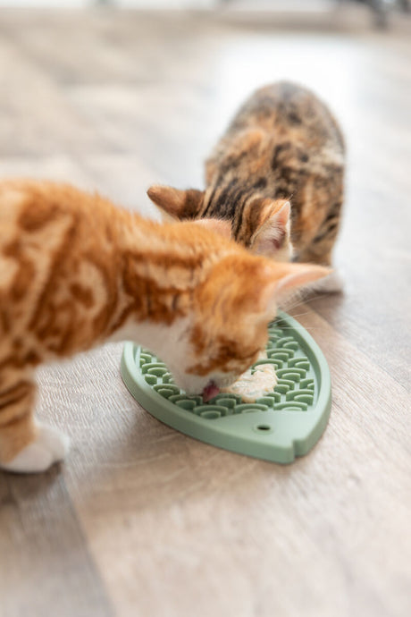 Zwei Katzen lecken Futter von einer grünen, blattförmigen Matte auf einem Holzboden.