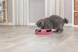 Graue Katze untersucht ein rosa Spielzeug auf dem Holzboden in einem Raum mit hellen Vorhängen.