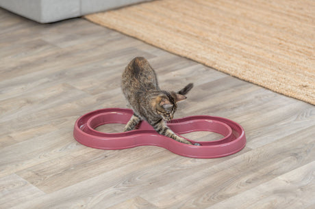 Eine Katze spielt mit einem pinkfarbenen Spielzeug auf einem Holzboden.