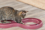 Eine getigerte Katze spielt auf dem Boden mit einer rosa Spielzeugbahn.
