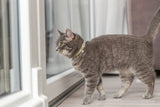 Halsband