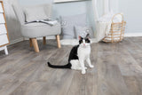 Eine schwarz-weiße Katze sitzt auf einem Holzboden in einem Wohnzimmer mit grauem Sessel, Kissen und Korb.