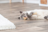 Eine grau-weiße Katze liegt auf einem Holzboden und spielt mit einem strohartigen Spielzeug.