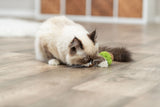 Langhaarige Katze mit Spielzeug auf Holzfußboden, das Spielzeug ist grün und braun.