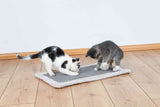 Zwei Katzen, eine schwarz-weiß und eine grau-weiß, spielen auf einem rechteckigen grauen Teppich auf Holzboden.