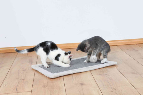 Zwei Katzen, eine schwarz-weiß und eine grau-weiß, spielen auf einem rechteckigen grauen Teppich auf Holzboden.