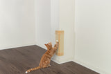Eine getigerte Katze kratzt an einem beigen Kratzbrett, das an einer weißen Wand in einer Zimmerecke montiert ist.