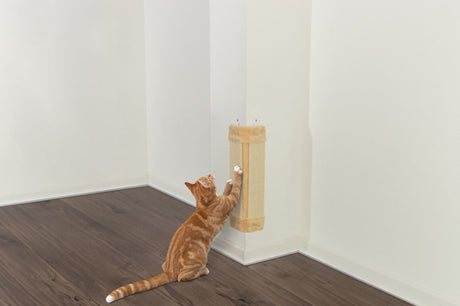 Eine getigerte Katze kratzt an einem beigen Kratzbrett, das an einer weißen Wand in einer Zimmerecke montiert ist.