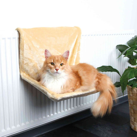 Eine orange-weiße Katze liegt auf einer beigen Katzenhängematte an einem weißen Heizkörper, daneben eine grüne Pflanze.