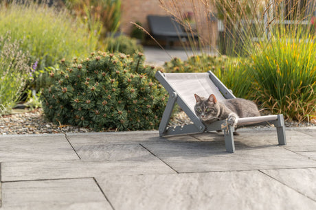 Graue Katze liegt auf einem kleinen Liegestuhl in einem Garten.