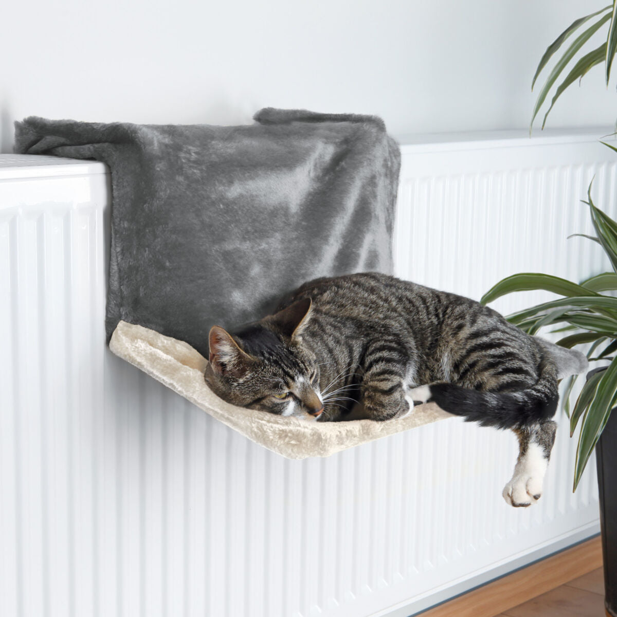 Eine getigerte Katze liegt auf einer beigen Hängematte vor einem weißen Heizkörper, daneben eine grüne Pflanze.