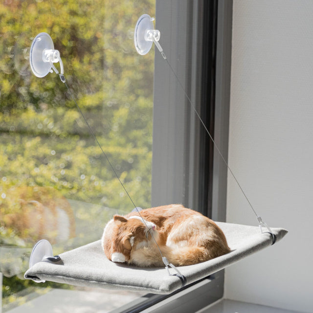 Eine beige liegende Katze schläft auf einer grauen Hängematte, die mit Saugnäpfen an Glas befestigt ist.