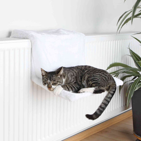 Eine graue Katze liegt auf einer weißen Hängematte, die an einem Heizkörper befestigt ist, neben einer Topfpflanze.