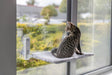 Getigerte Katze sitzt auf Fensterbank mit Saugnäpfen und blickt nach draußen.