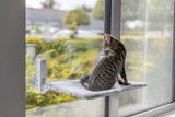 Getigerte Katze sitzt auf Fensterbank mit Saugnäpfen und blickt nach draußen.