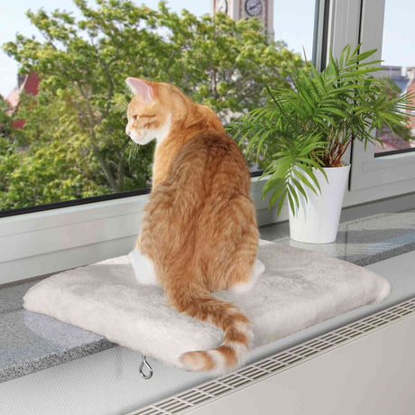 Eine Katze sitzt auf einem beigen Kissen vor einem Fenster; draußen sind grüne Bäume und ein Turmuhr zu sehen.