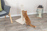 Braun gemusterte Katze kratzt an einem beigefarbenen Kratzbaum auf Holzboden, daneben ein grauer Stuhl und eine große Glaslaterne.