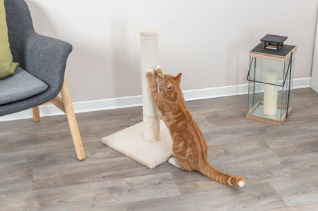 Braun gemusterte Katze kratzt an einem beigefarbenen Kratzbaum auf Holzboden, daneben ein grauer Stuhl und eine große Glaslaterne.