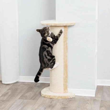Katze klettert an beigem Kratzbaum mit runder Basis, grau-weißes Fell, auf hellen Holzboden im Innenraum.