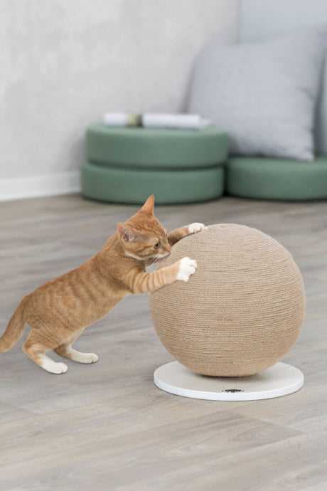 Eine rote Katze spielt mit einem großen, runden, mit Seil umwickelten Kratzspielzeug auf einem Holzboden.