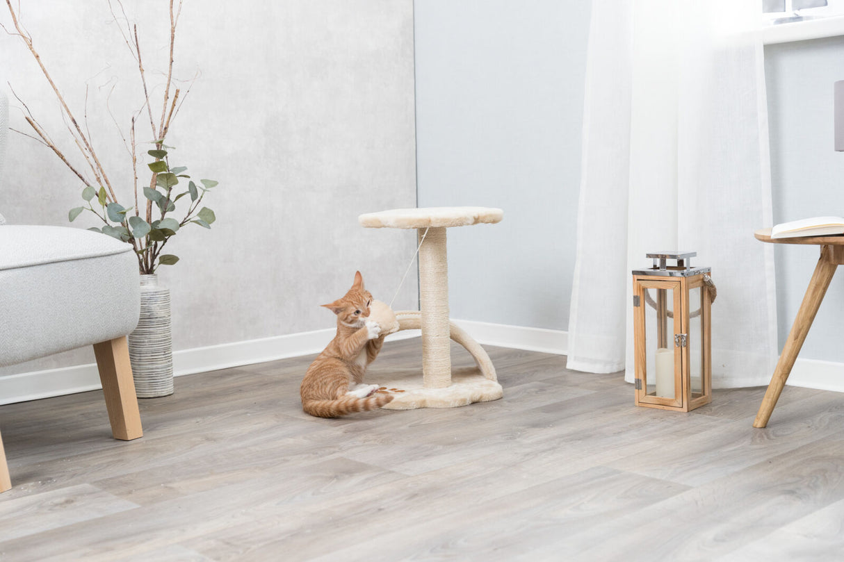 Eine rote Katze spielt mit einem beigen Kratzbaum auf einem hellen Laminatboden in einem modern eingerichteten Raum.