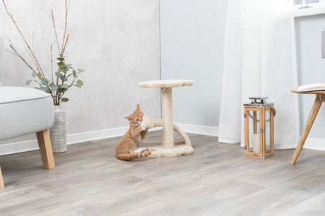 Eine rote Katze spielt mit einem beigen Kratzbaum auf einem hellen Laminatboden in einem modern eingerichteten Raum.