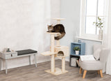Zimmer mit Kratzbaum, auf dem eine Katze liegt, daneben ein graues Möbelstück und ein Stuhl mit Pflanzen.