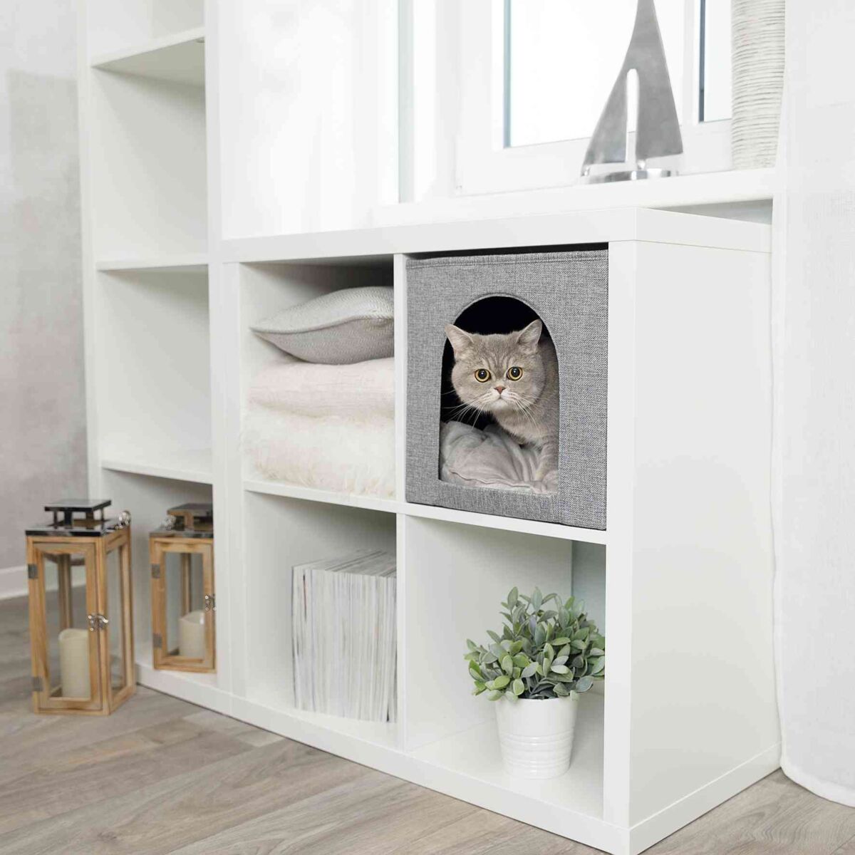 Weiße Regalwand mit grauer Höhle, in der eine Katze liegt; daneben sind Kissen, Decken, Laternen und Pflanzen.