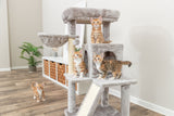 Mehrere Kätzchen spielen auf einem grauen Kratzbaum in einem hellen Raum.