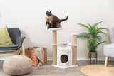 Katzenbaum mit hellem Stoff und Sisal-Spalten, Katze sitzt oben, links ein grauer Stuhl und rechts eine grüne Pflanze.