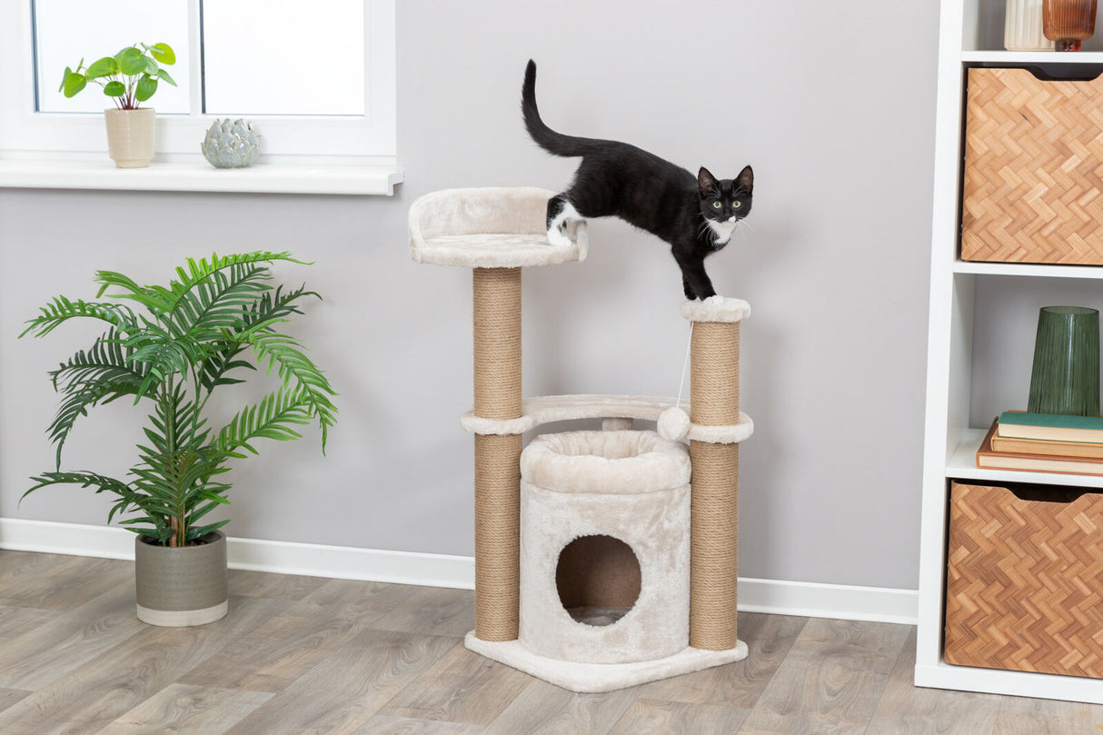 Ein schwarz-weißer Katze steht auf einem Kratzbaum aus hellem Stoff und Sisal in einem Raum mit Pflanze und Regal.