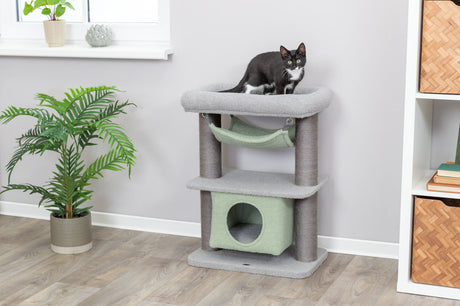 Ein schwarz-weißer Kater sitzt auf einem grauen Kratzbaum mit Höhle und Hängematte, daneben Pflanzen.