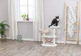 Eine schwarz-weiße Katze sitzt auf einem beige-beigen Kratzbaum in einem hellen Raum mit Pflanze und Leiterdeko.