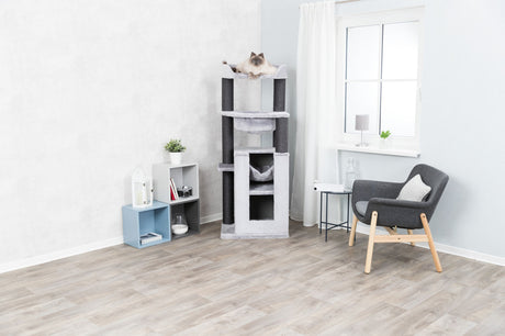 Hellgrauer Kratzbaum mit schwarzem Standbein, darauf liegende Katze im modernen Wohnzimmer mit Stuhl.