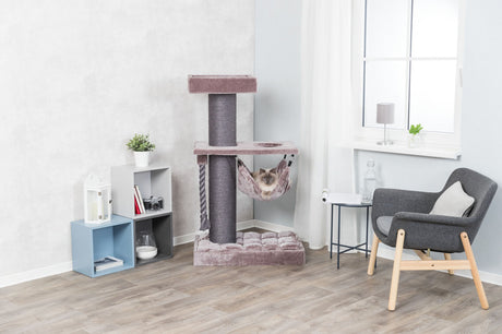 Ein Wohnzimmer mit Holzboden, einem Kratzbaum mit Katze, einem Sessel, einem Fenster, und Regalen mit Dekoration.