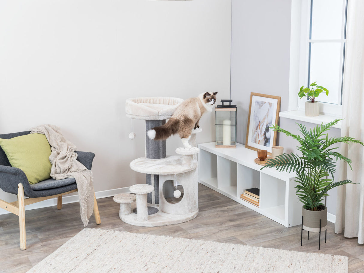 In einem gemütlichen Wohnzimmer klettert eine Katze auf einem hellgrauen Kratzbaum neben einem Regal mit Dekoration.