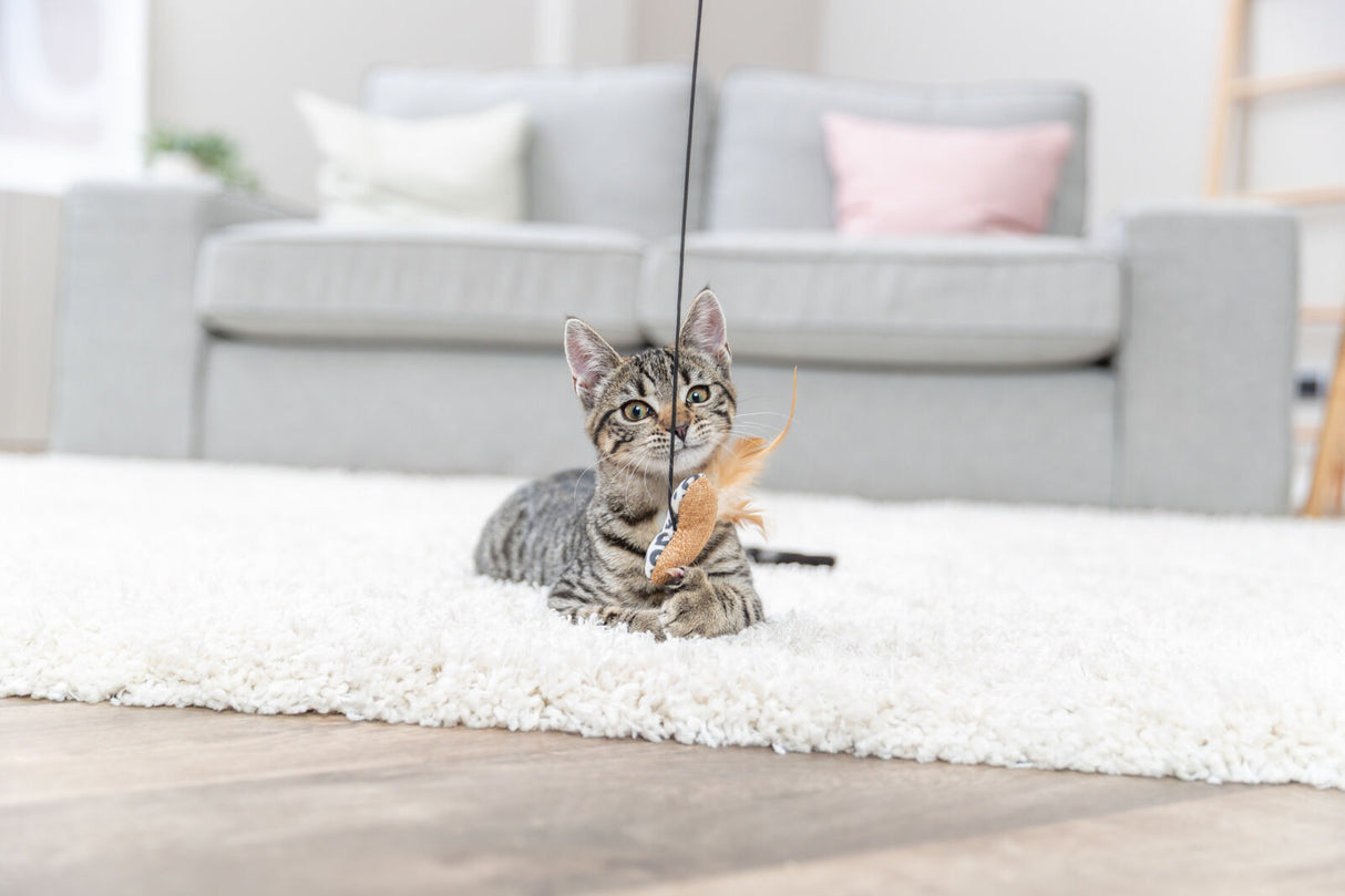 Getigerte Katze spielt mit Spielzeug auf hellem Teppich vor grauem Sofa.