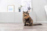 Eine getigerte Katze spielt mit einem hängenden Katzenspielzeug in einem hellen Raum.