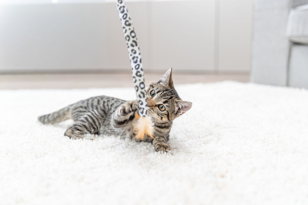 Eine gestreifte Katze spielt mit einem gemusterten Spielzeugstab auf einem weißen Teppich.