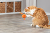 Orange-weiße Katze spielt mit einem orangefarbenen Spielzeug an einer Schnur auf einem Holzboden, im Hintergrund Regale.
